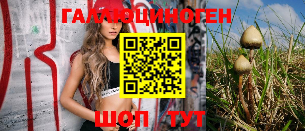 Псилоцибиновые грибы MAGIC MUSHROOMS  Вход с VPN  Юрга 
