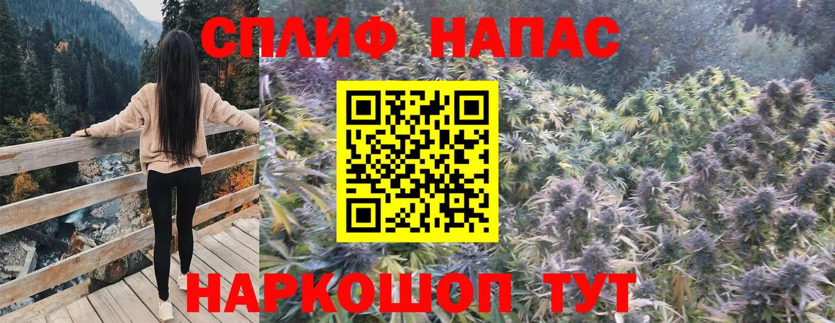 Бошки марихуана конопля  Вход с VPN  Канабис план  Бошки марихуана тримм  Юрга 